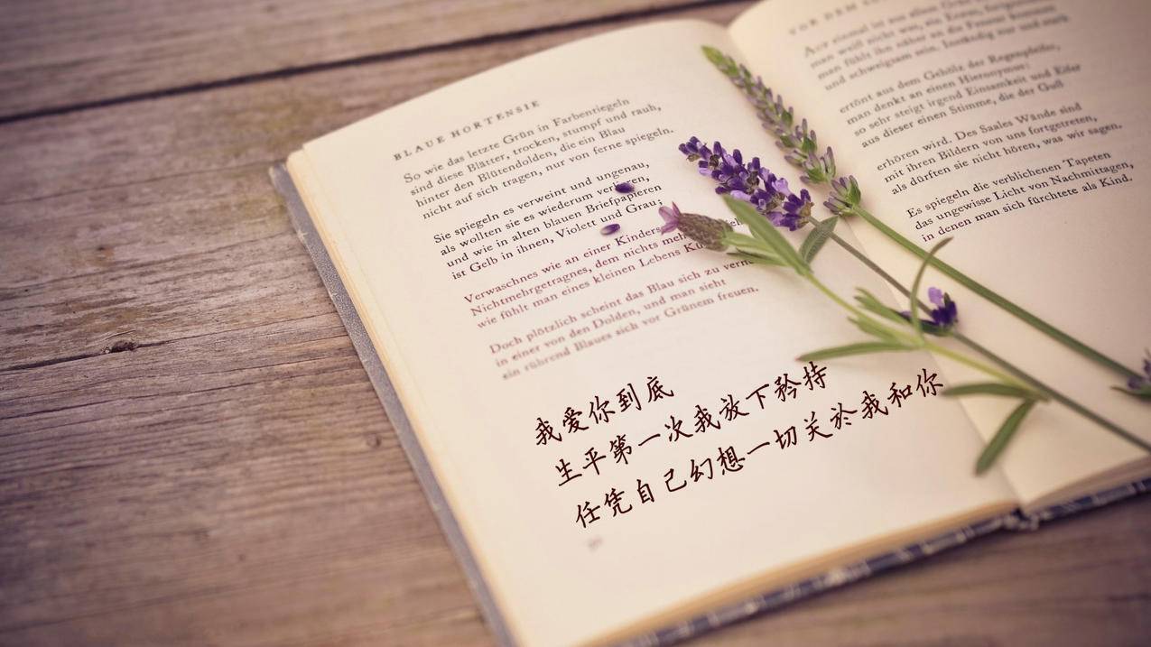 qq24小时业务自助下单平台网站 - qq名片点赞免费下载