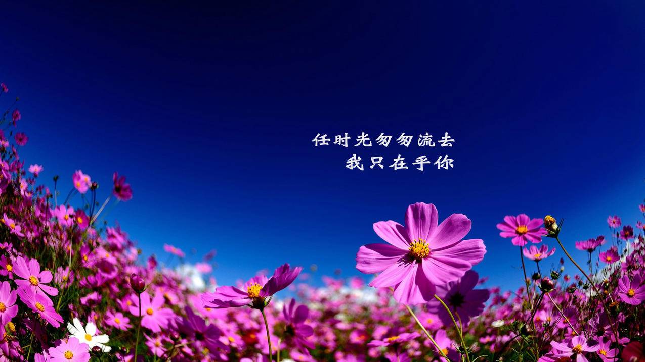 抖音多线程刷双击 -