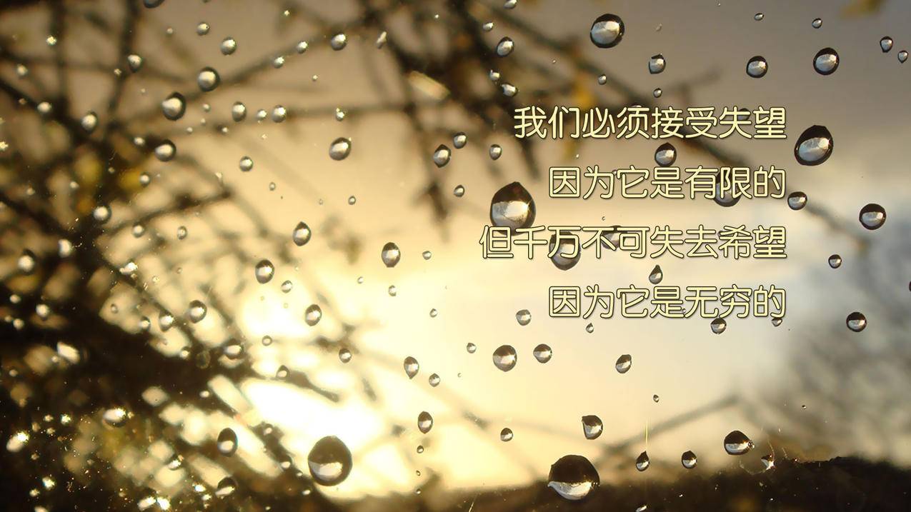 战旗刷关注-红人阁刷