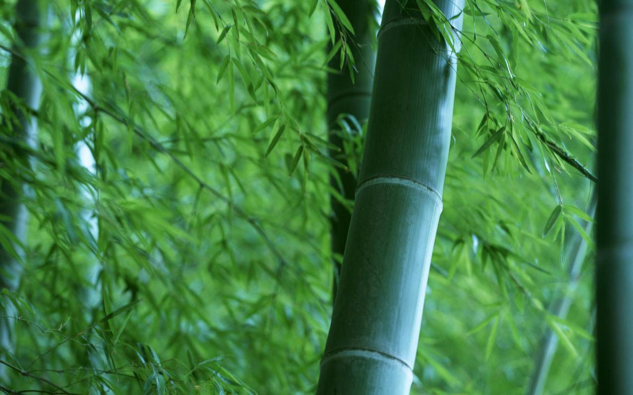 快手极速版在线看领红包 - 球球大作战代刷网站是真的吗