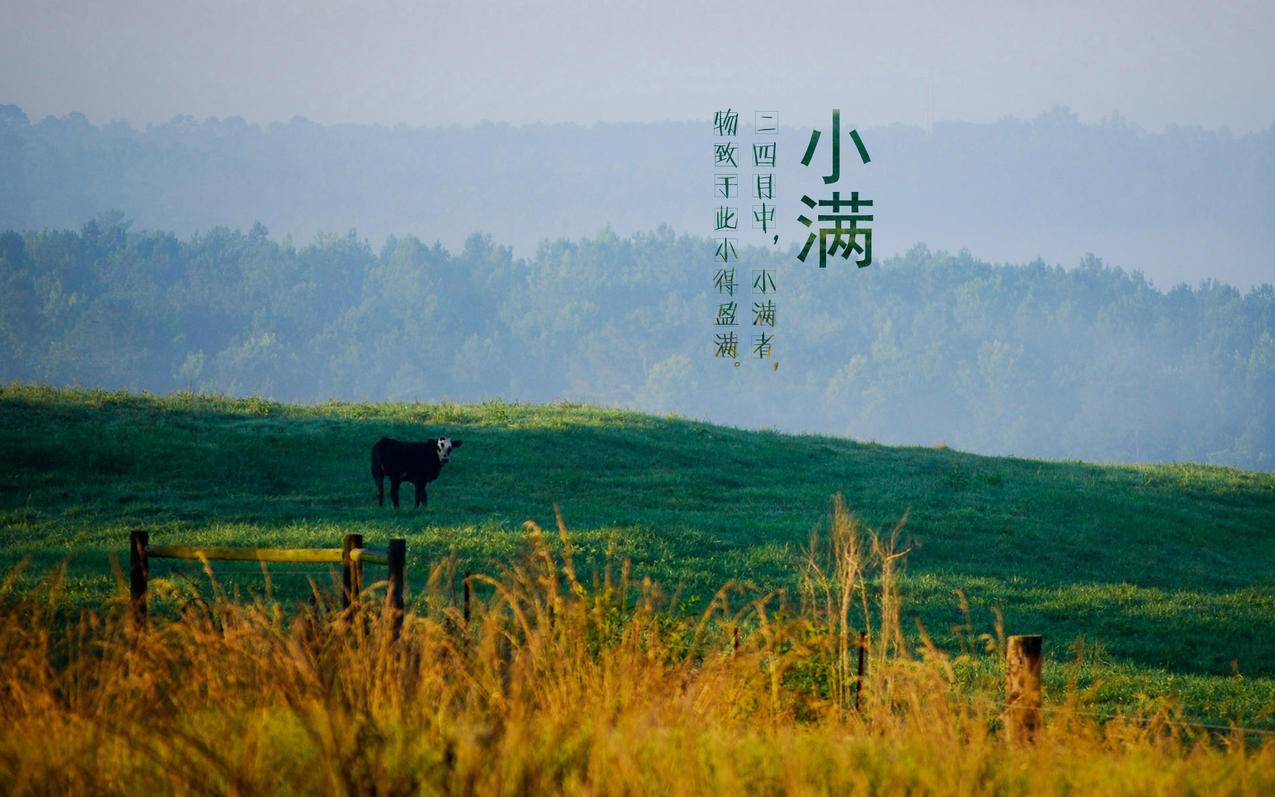 刷赞网站qq - qq名片赞业务区