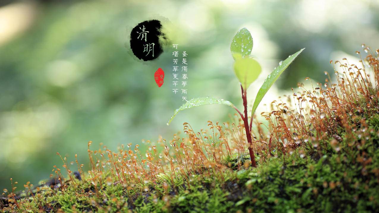 小客代刷快手 - 扣扣空间刷赞神器,qq免费免费刷赞平台