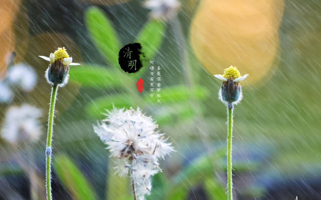 良心推荐全网最低价快手业务平台 - 快手一元100个点赞秒
