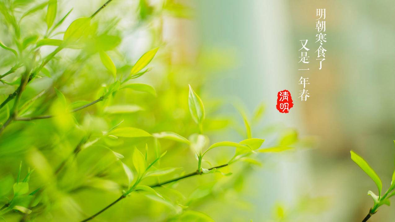 空间刷赞神器1元10