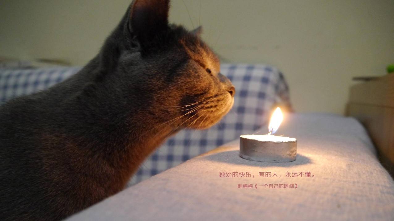 快手刷粉网站1元10