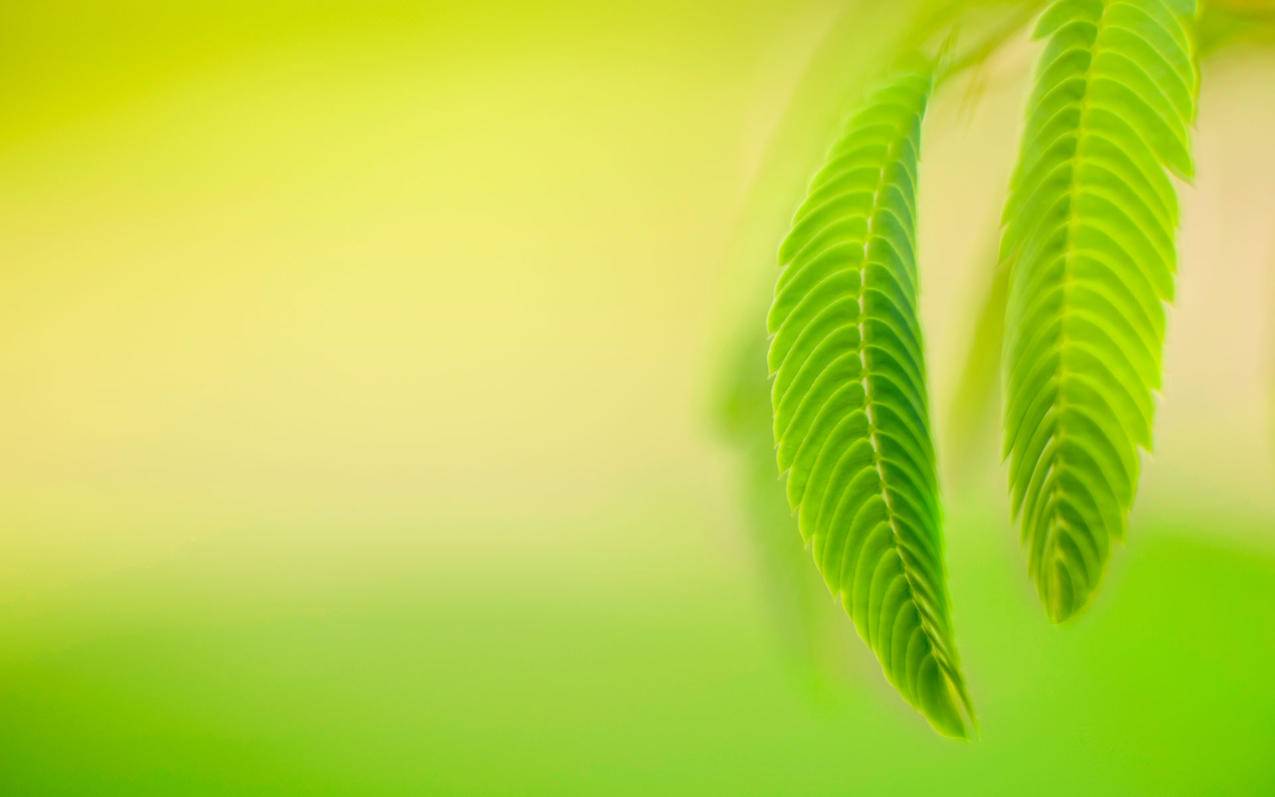 快手刷双击网站最便宜