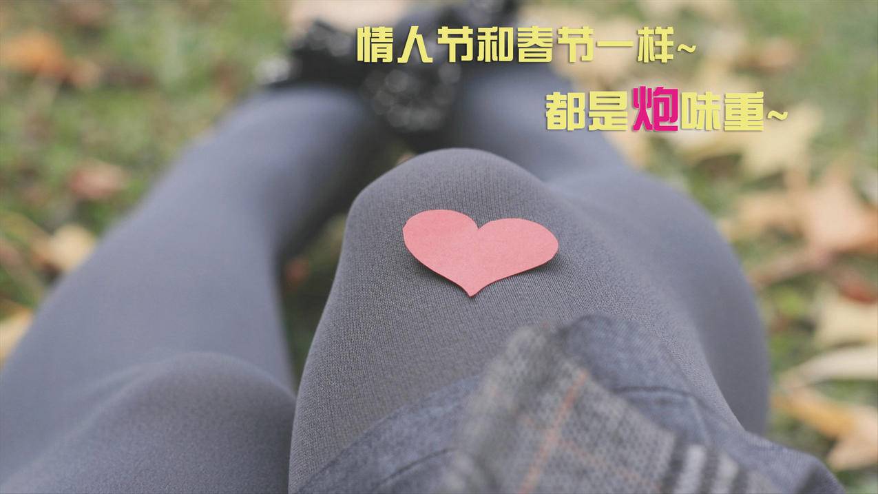 增粉自助平台 - 快