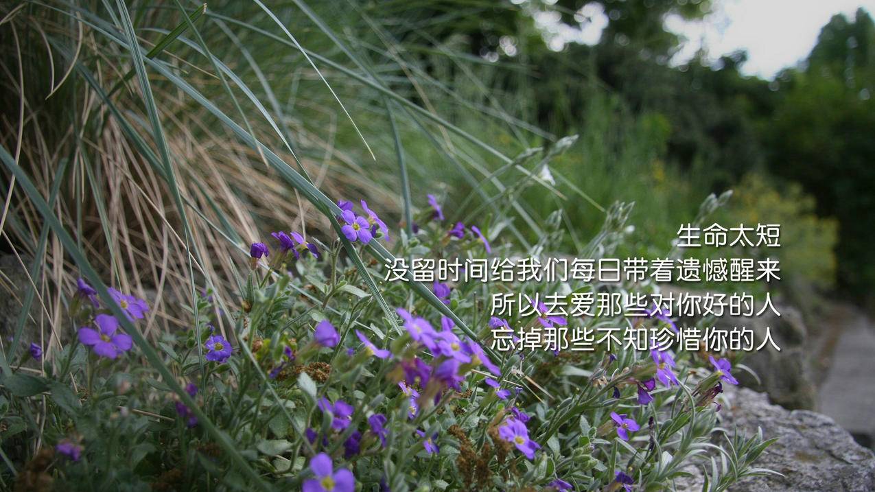 快手抖音业务价格表 - 快手音乐人站外个人链接怎么填