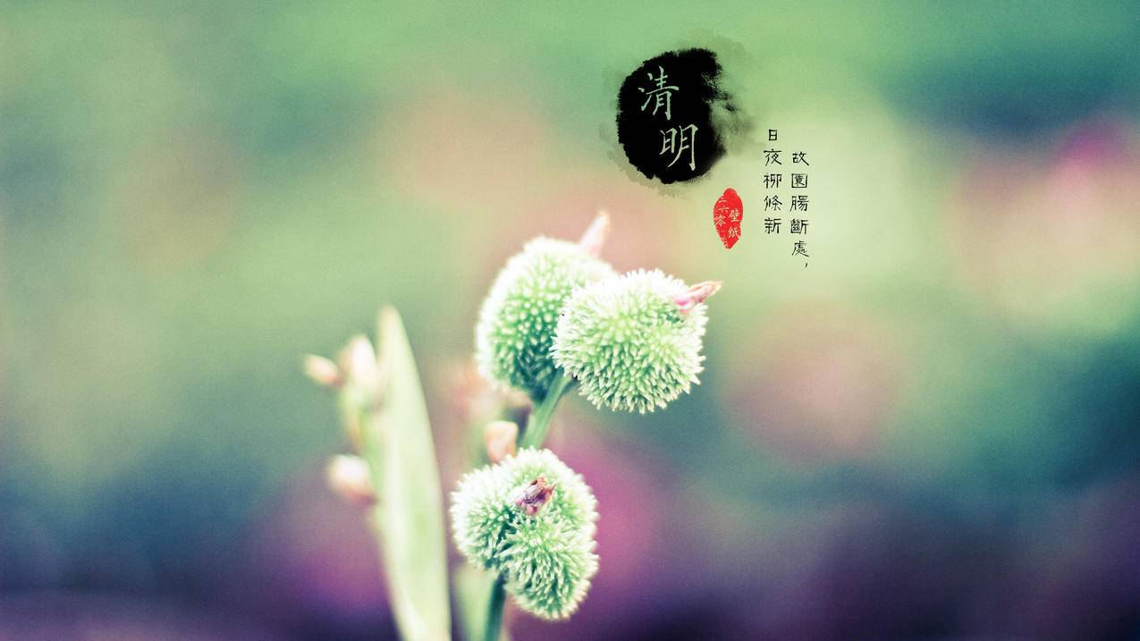 快手赞便宜刷赞平台 - 快手免费快手业务软件手机版
