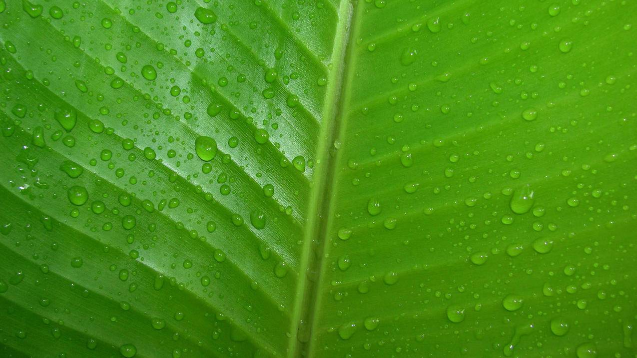 qq免费刷赞推广平台 - qq0.1元一万名片赞小熊网站