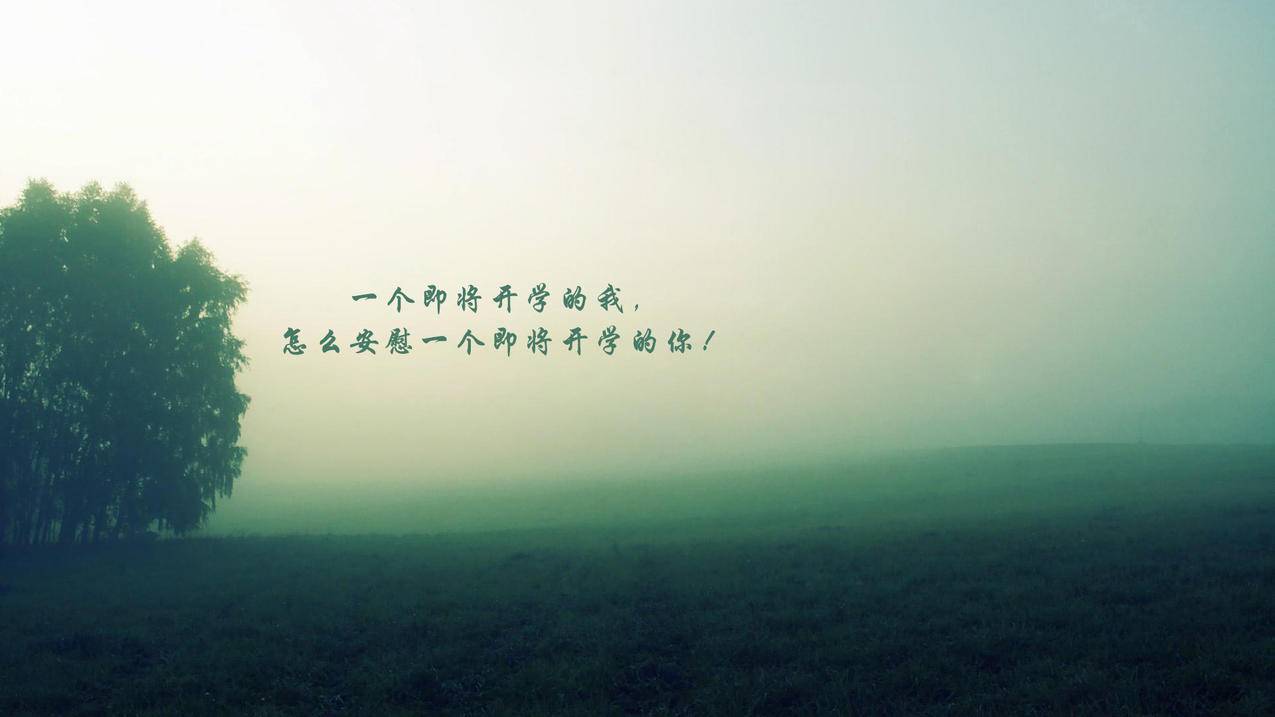 微店商品人气-快手点赞全网最低价,点赞关注刷评论平台,全民tv刷人气软件