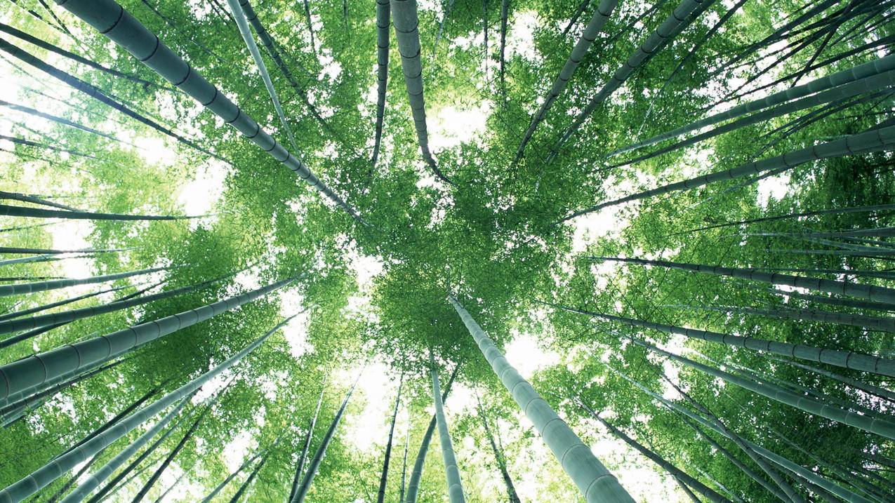 快手作品点赞网站下单