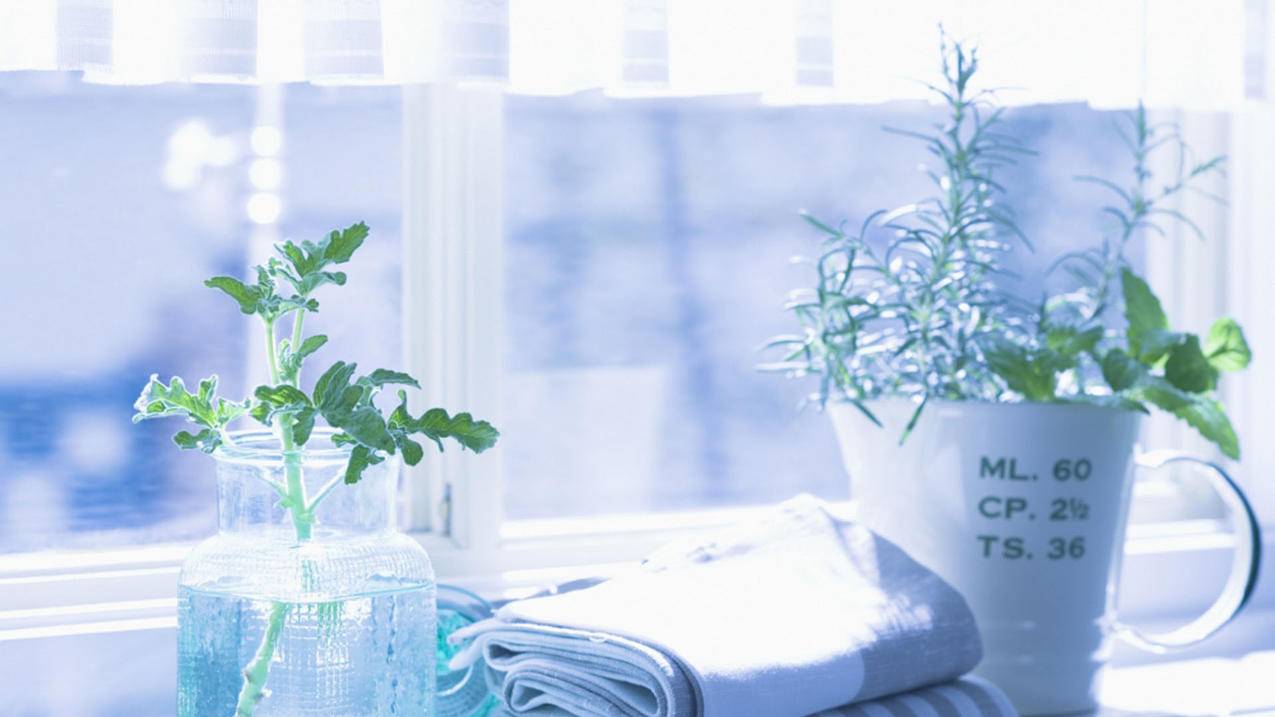 快手刷赞网站自助下单免费 - 樱花卡盟网站打不开怎么办