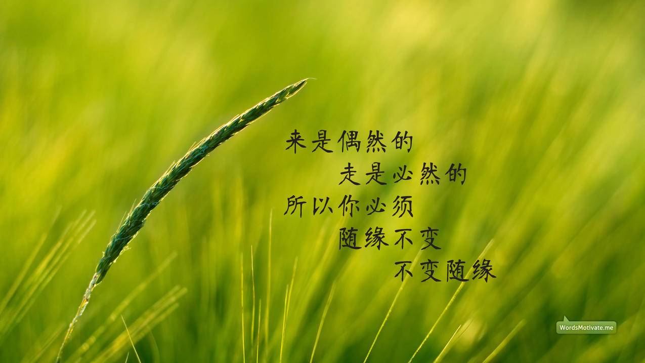 快手刷赞平台蚂蚁 - 一元十万名片赞网站