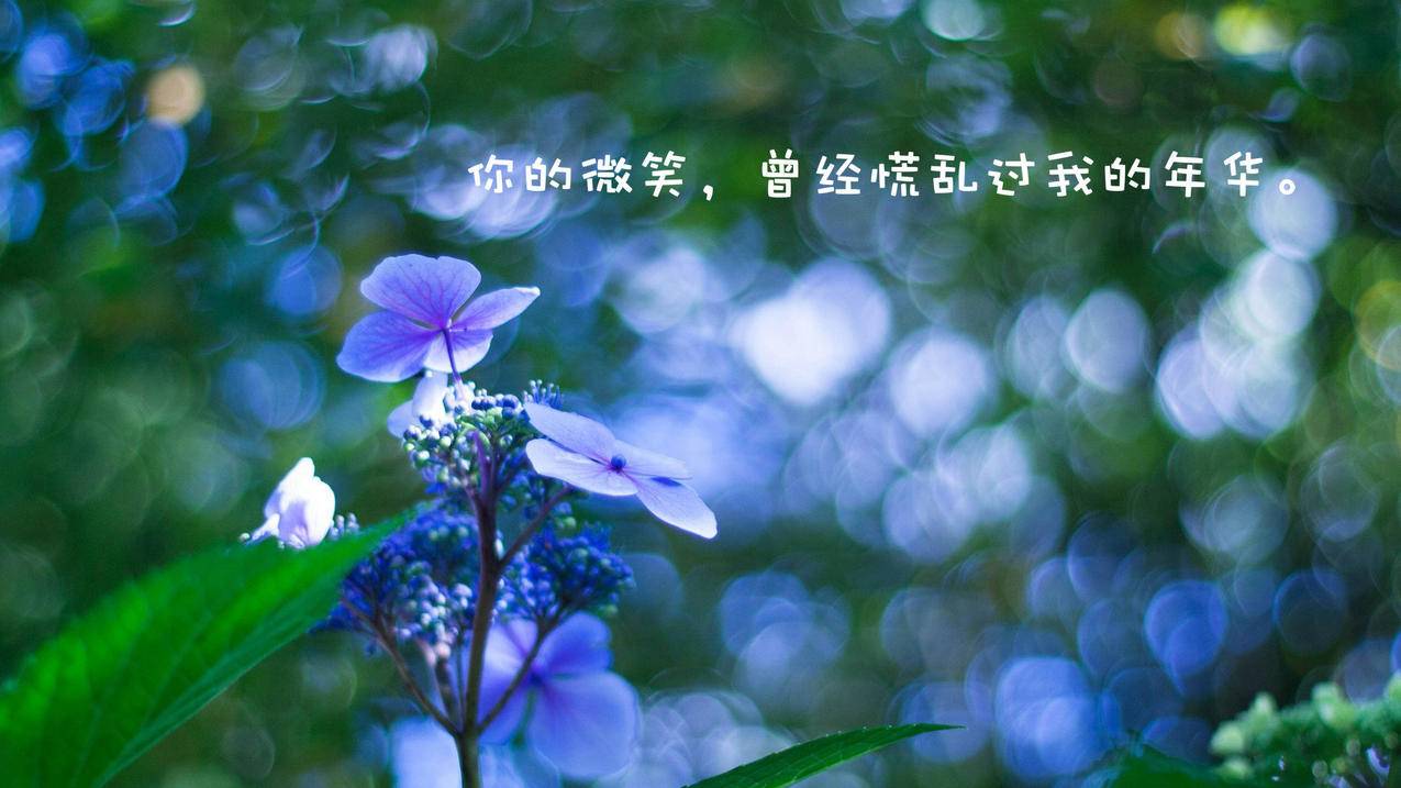 qq免费领说说赞平台 - 抖音业务区浏览