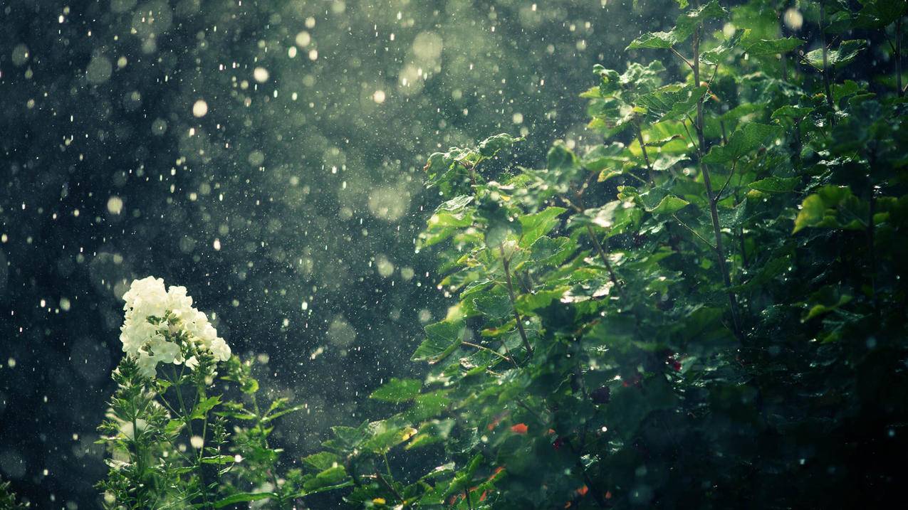代网刷免费 - 刷站网址是什么