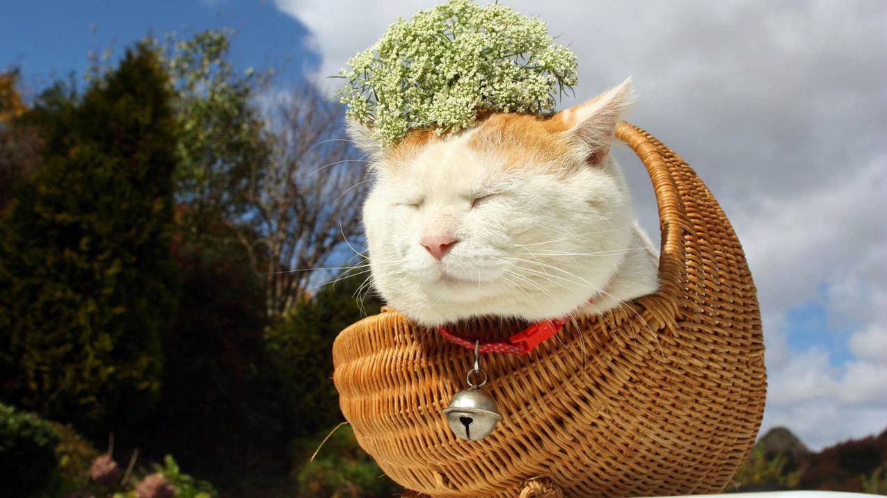 快手点赞服务中心 -