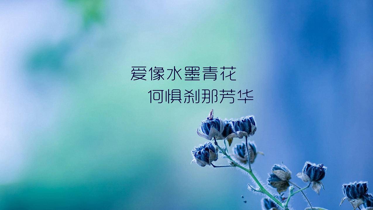 刷关注礼品-快手真人