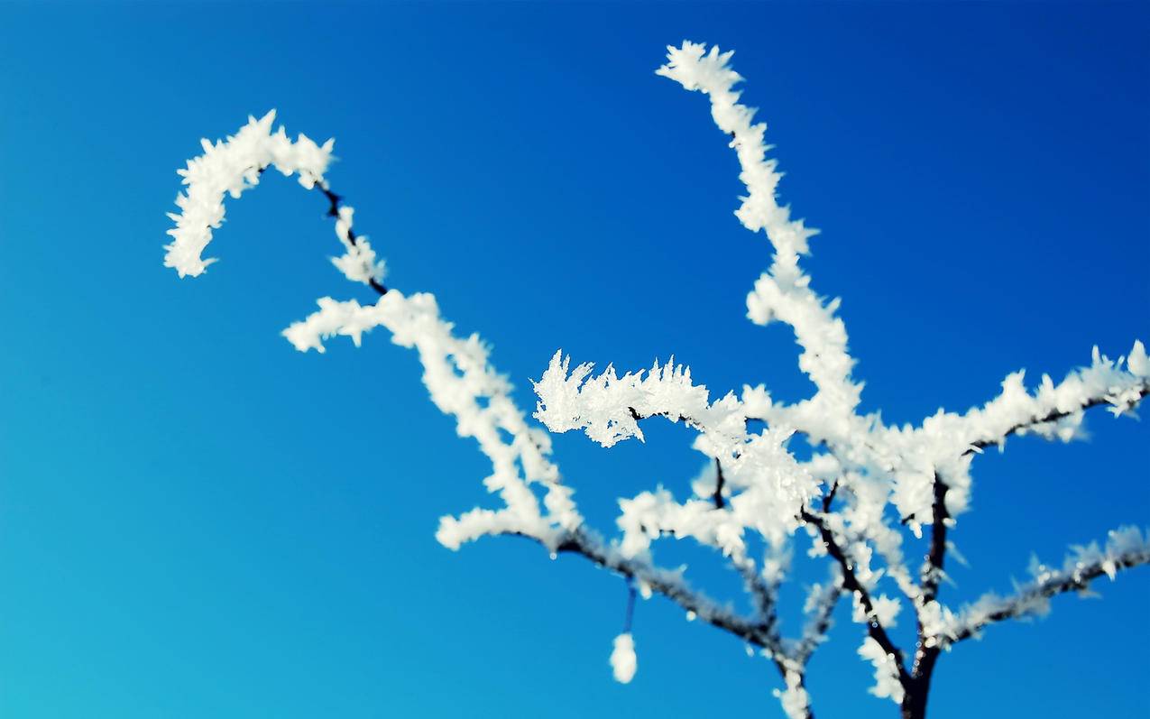 快手活人代刷网-快手刷赞全网最真实,一元1000快手粉丝,qq空间说说点赞低价平台在线刷,云商城24小时自助下单快手