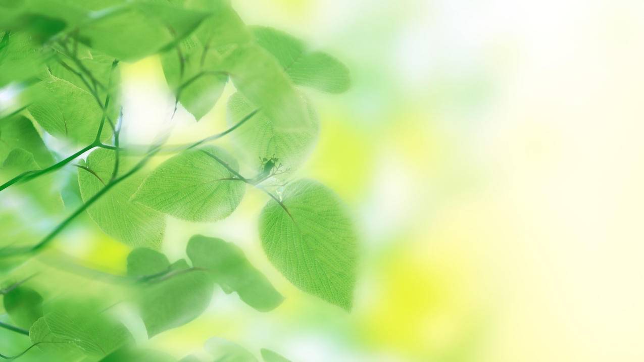 免费上热门软件202