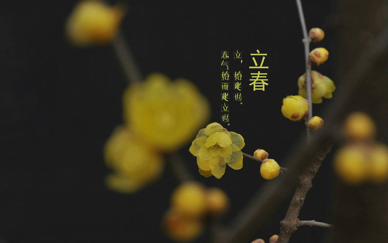 兄弟卡盟官网平台 -
