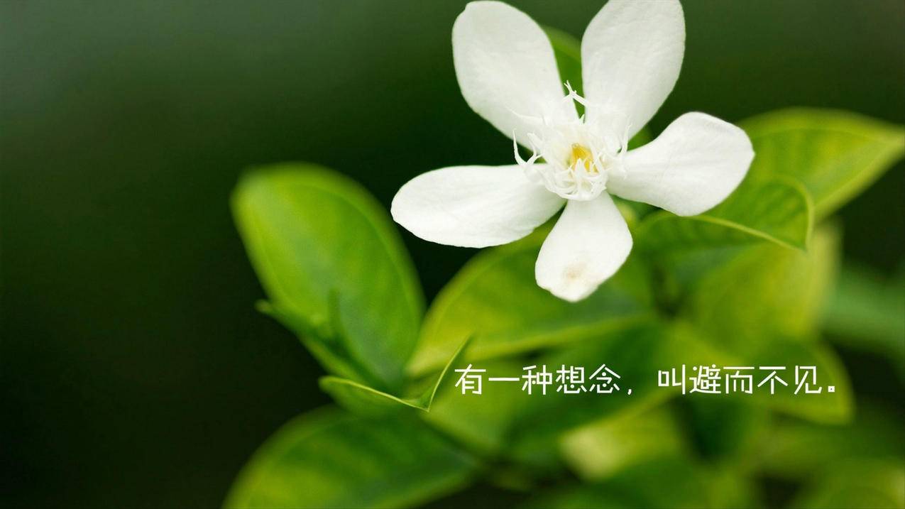 空间点赞网站免费 - 买qq赞的网站值得信赖