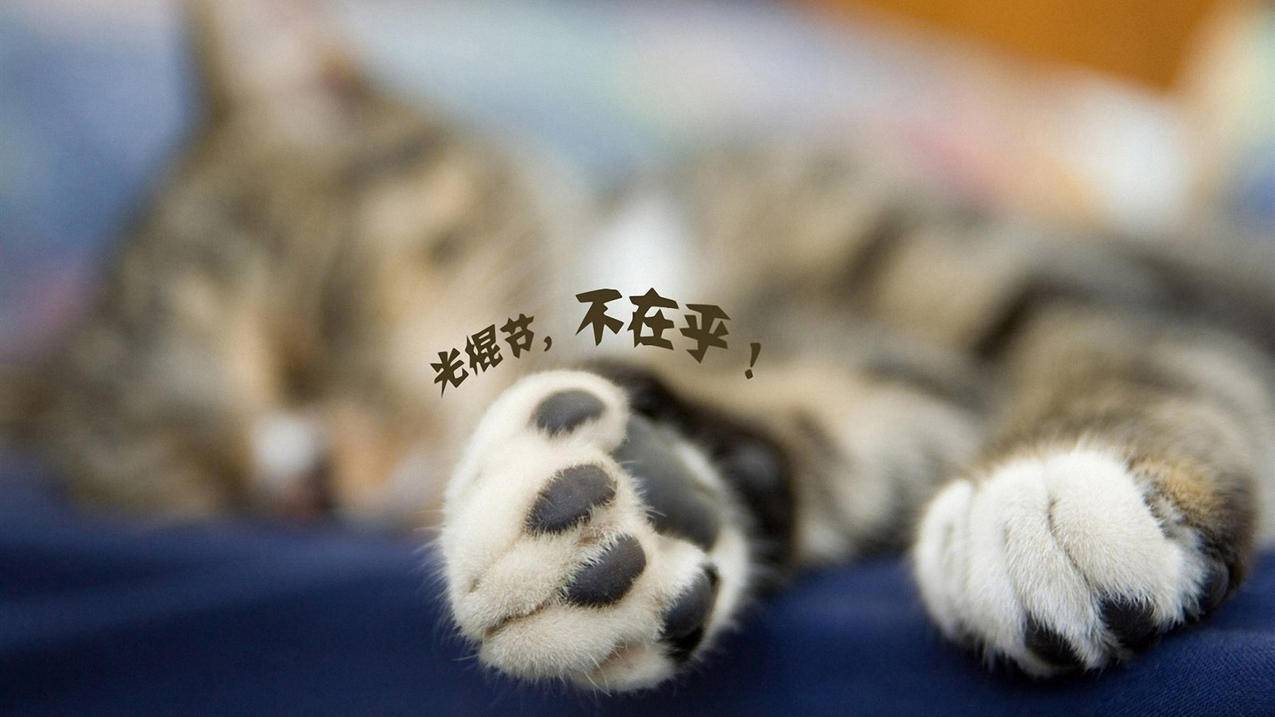 全网最低快手自助下单平台 - 免费秒赞网