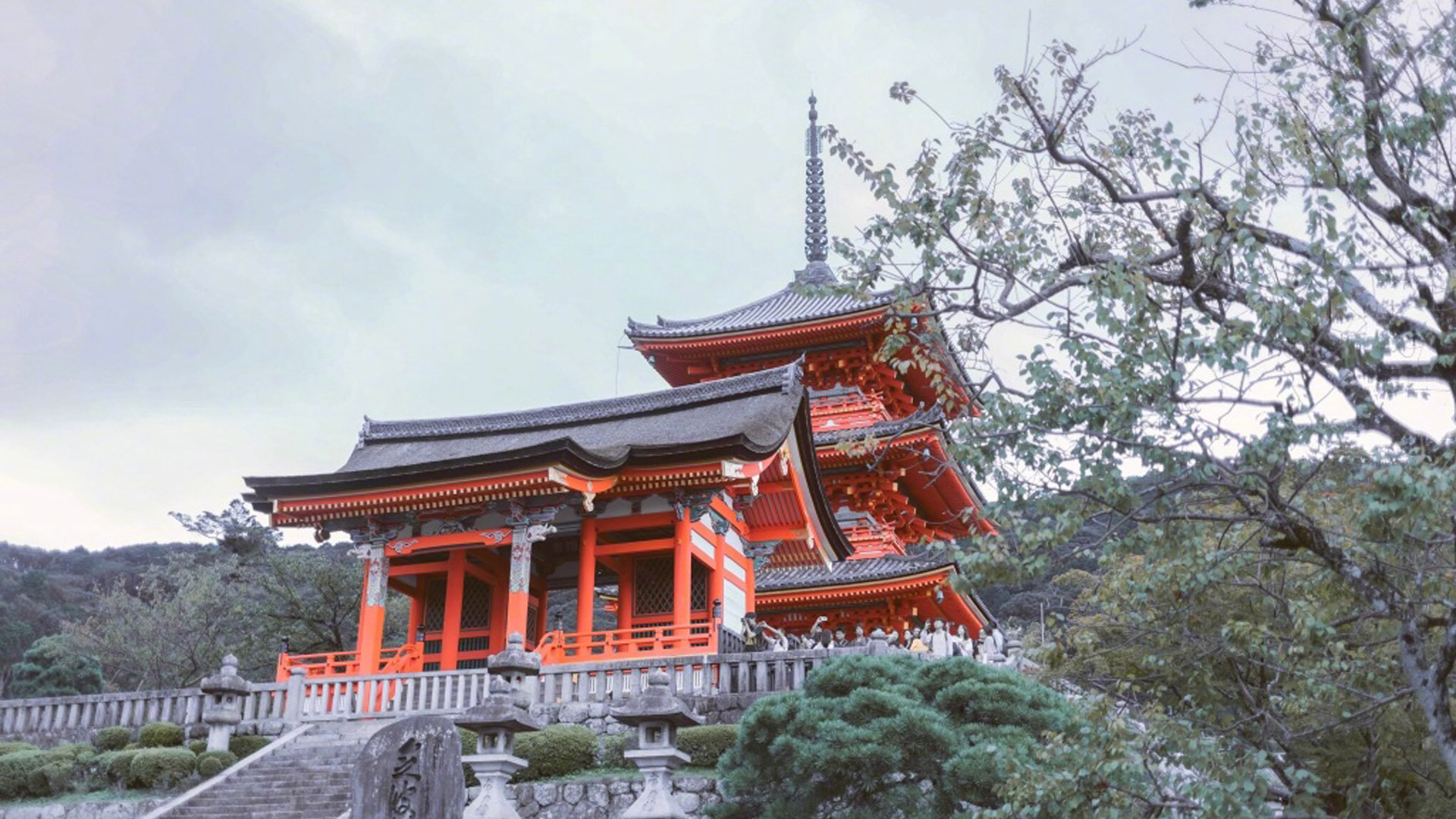 免费QQ空间点赞 -