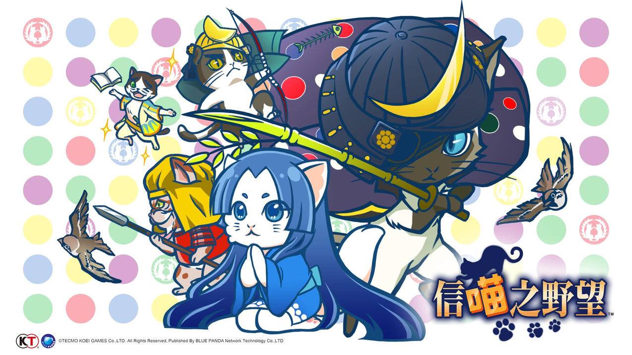 彩虹代刷授权域名可以更改吗 - 麦子代刷网球球