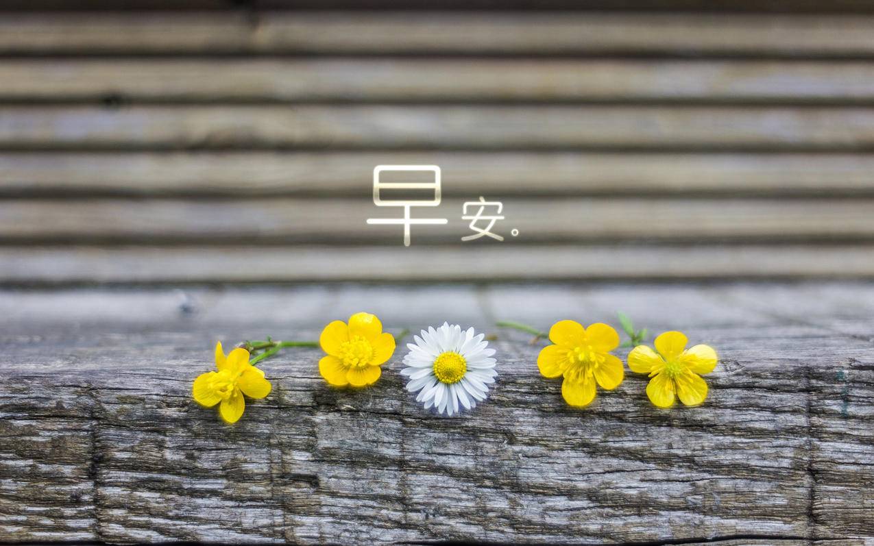 qq代刷10万一元赞