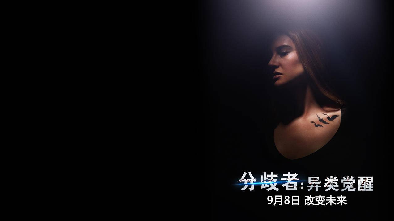 qq空间访问量秒刷 
