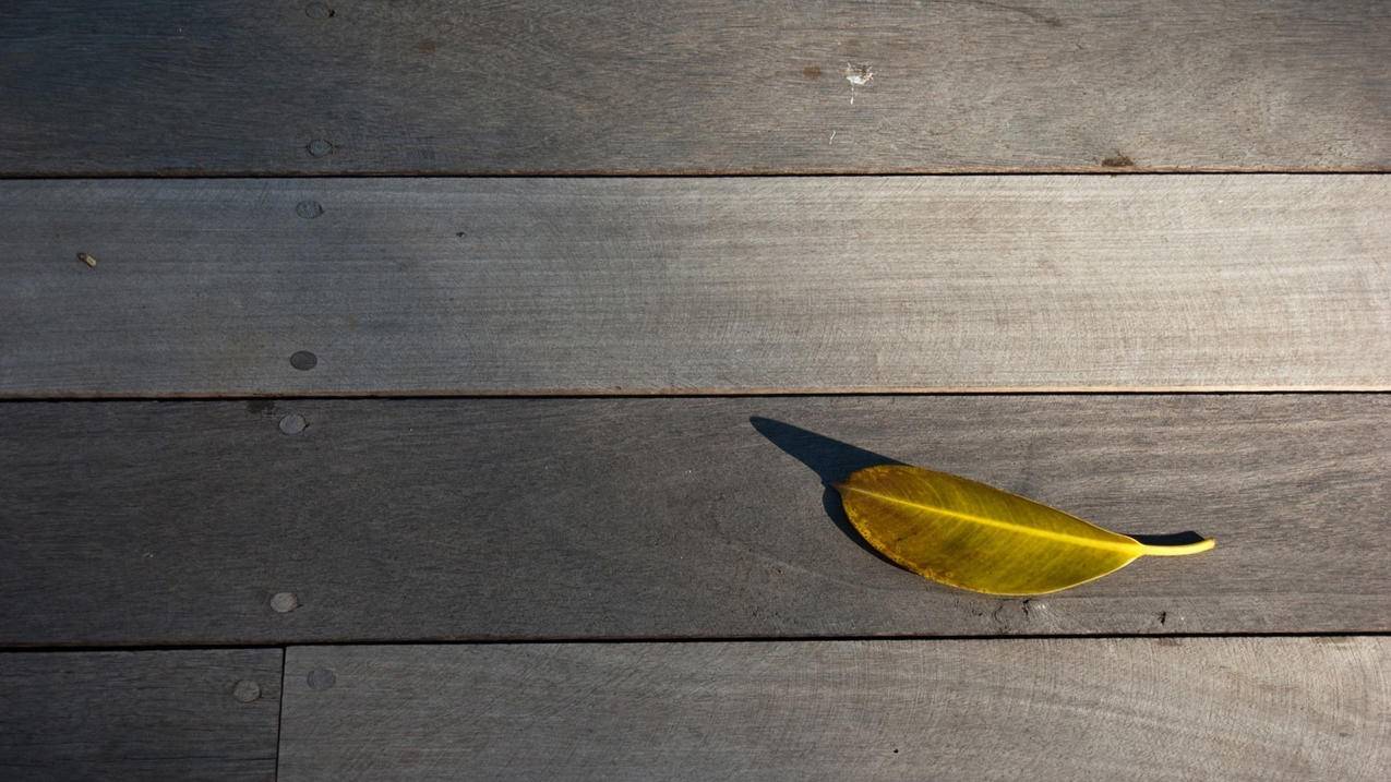 王者荣耀点赞网站免费