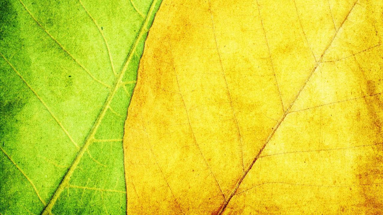 刷赞网址全网最低价 - 说说买赞平台