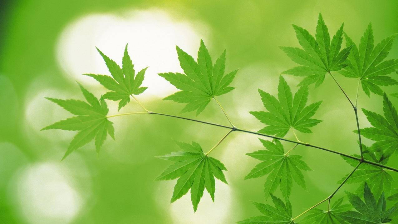 全网刷业务最便宜网站
