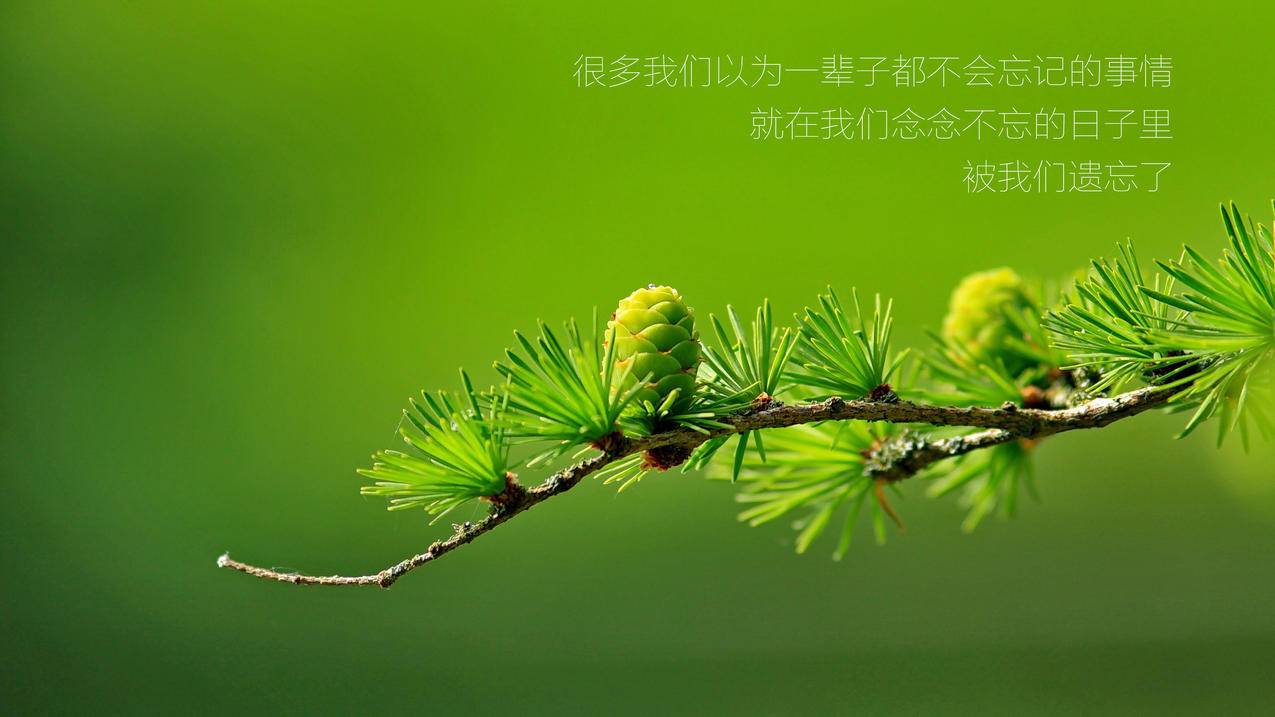 快手低价双击代网站刷业务 - 一毛一万个赞