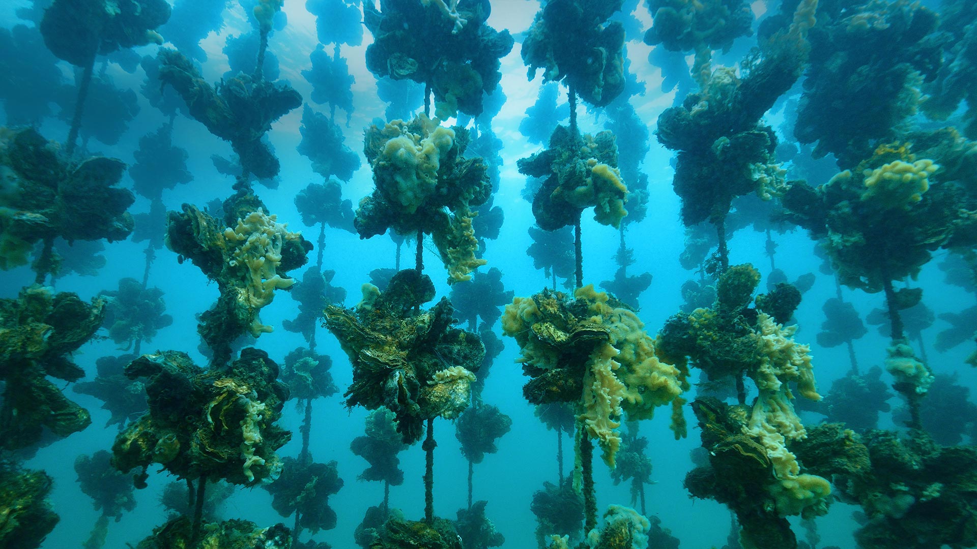 海城qq业务网 - 南柯代网刷