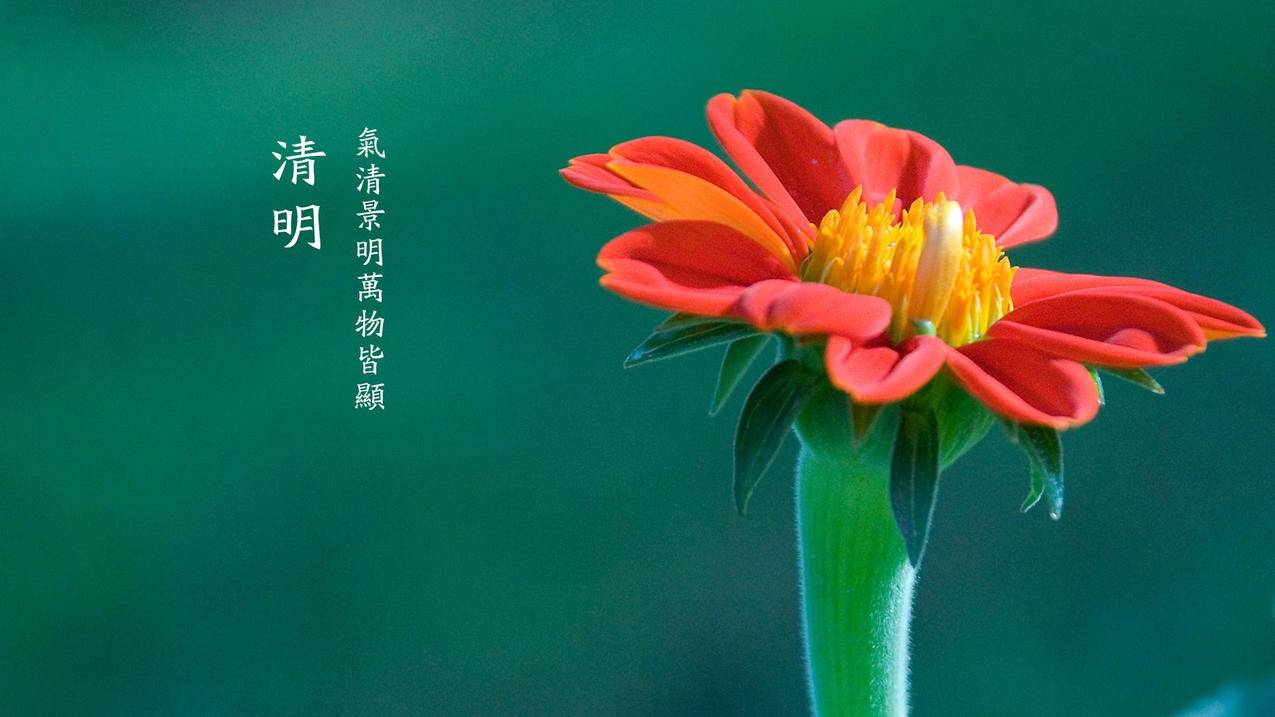 快手刷24小时自助下单平台 - 球球大作战刷礼物网址