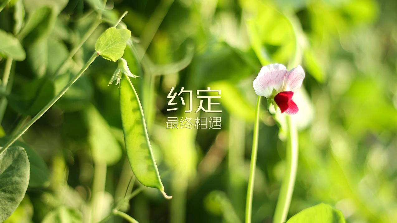 刷空间赞低价 - 爱准代挂网站