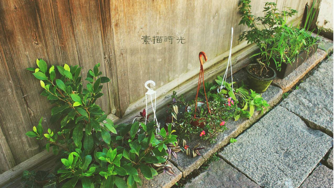 快手业务平台自助下单网站 - 冰冰代刷网诚信第一